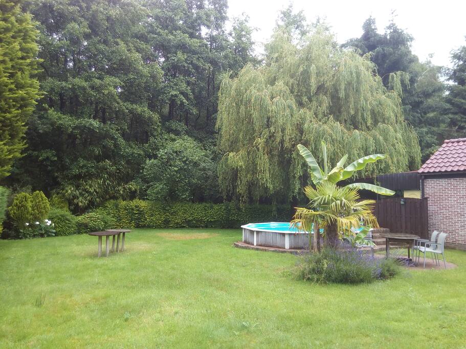 tuin
