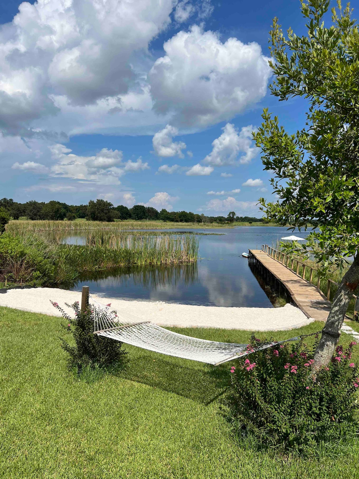 A tranquil lakeside view captures a sandy beach area with a white hammock nestled among greenery. Clear water reflects fluffy clouds, while a wooden dock extends into the lake. Lush grasses and reeds frame the scene, enhancing the peaceful outdoor atmosphere.