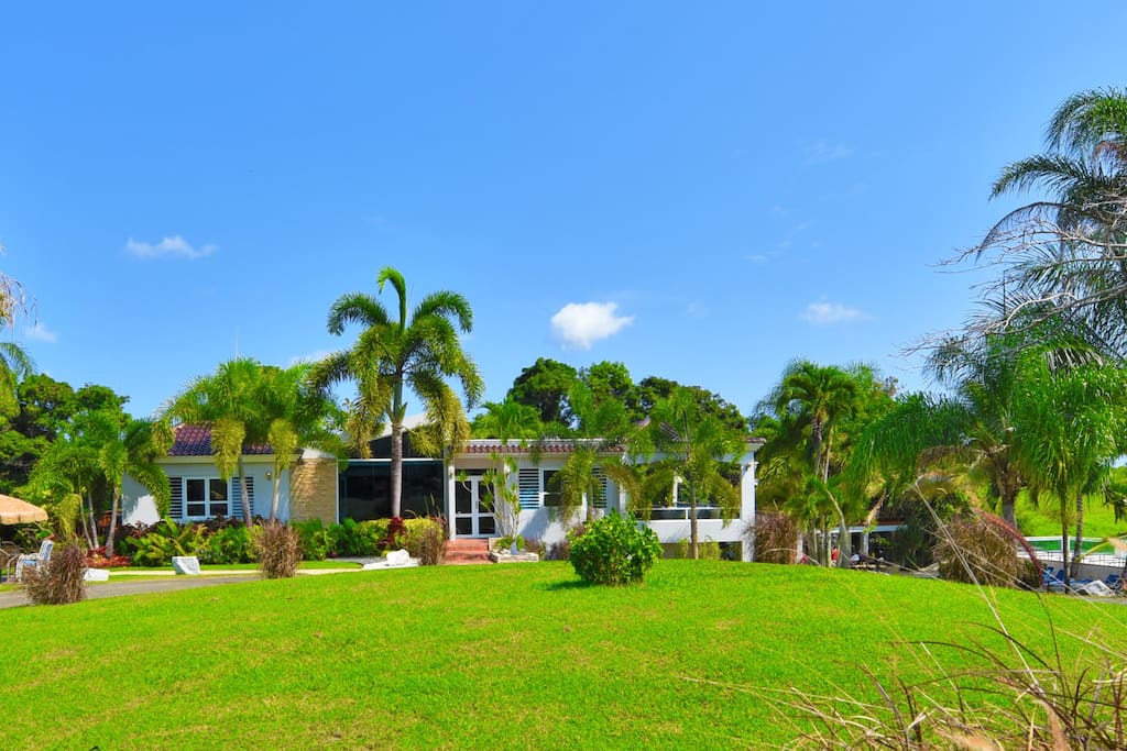 Apt 1 & 6, the front part of the villa that you see