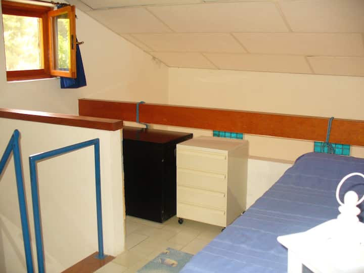 Quarto 1