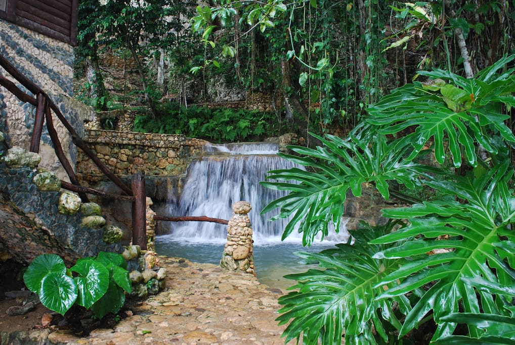 Lush vegetation and cool river water