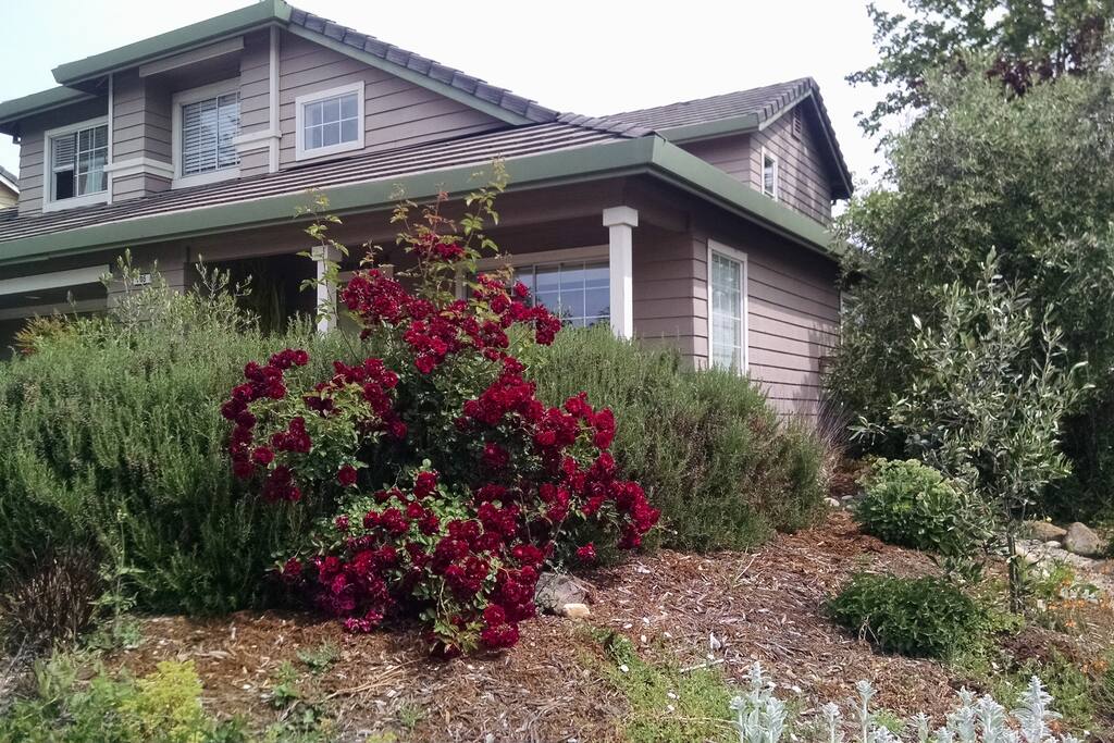 Healdsburg Rooms For Rent Healdsburg Rooms For Rent
