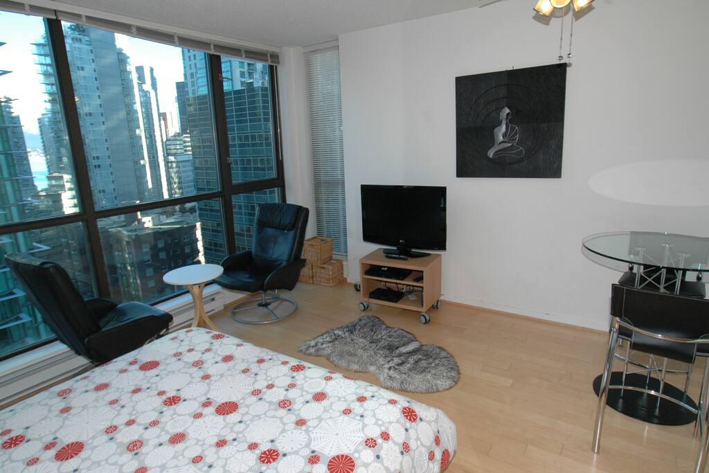 Flat Screen TV with DVD and wireless internet