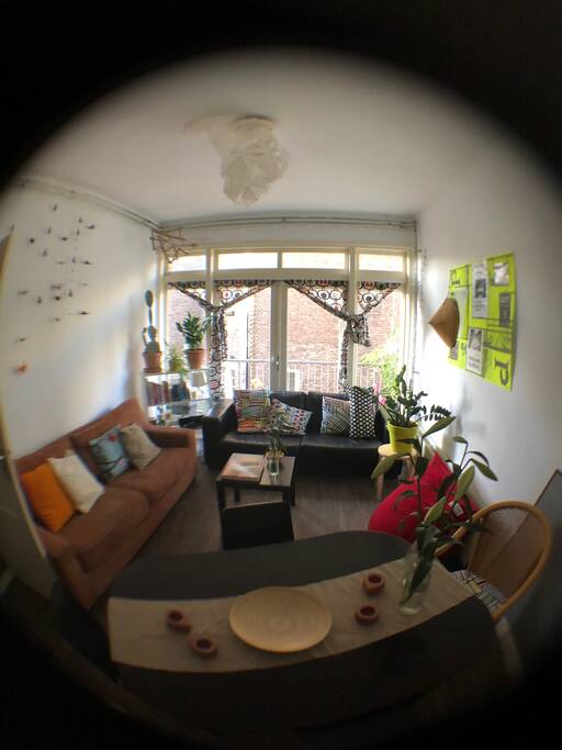 Shared Living Room