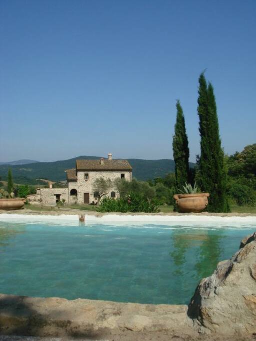 the pool