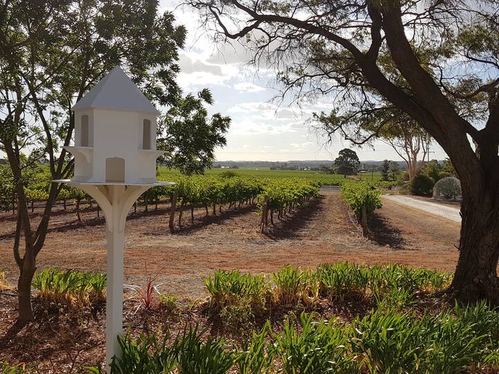 'In The Vines' Guest Cottage, Barossa Valley SA