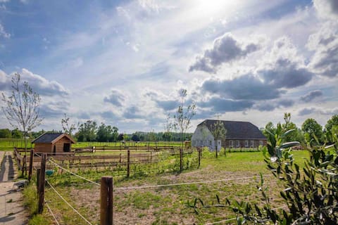 B&B Hoeve Klein Haneveld: "De Oude Stal"
