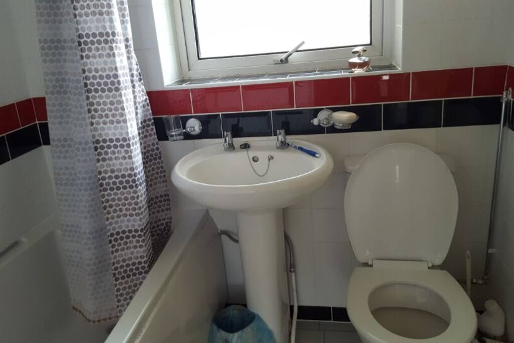 shower-toilet