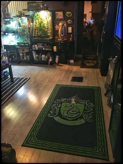 Entryway into the home, showing some house pride and beautiful terrariums housing magical creatures.