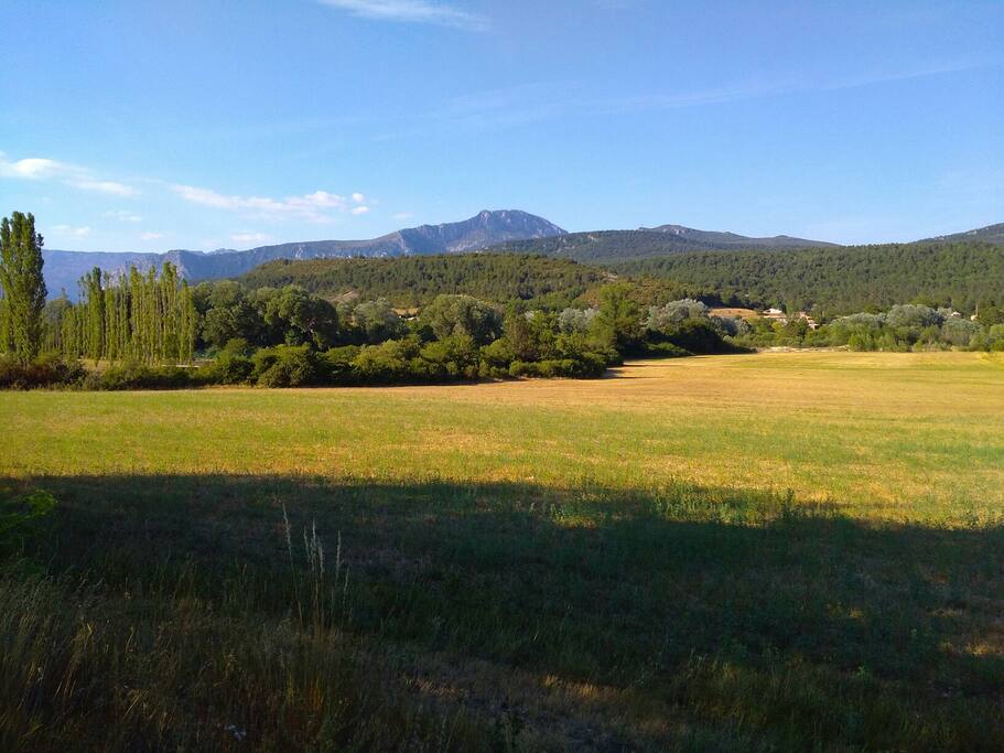 vue de la terrasse