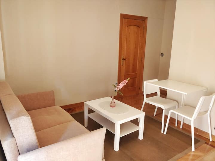 Apartamento Reformado En Pleno Centro De Salamanca - Salamanca