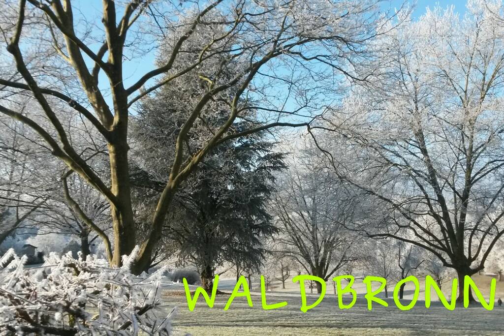 Waldbronner Kurpark