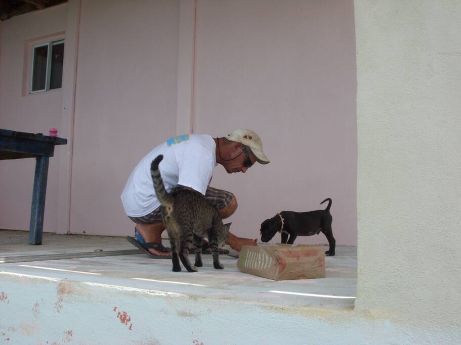 two helpers showed up to help a guest paint your deck