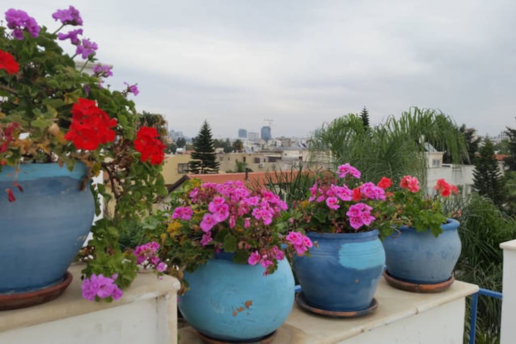 Terrace and city view