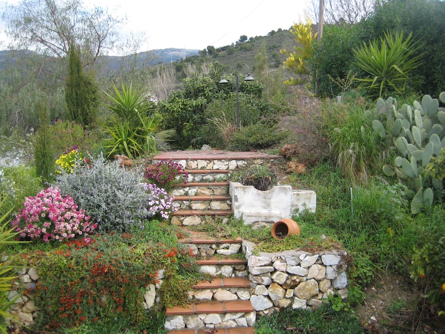 steps to top patio area