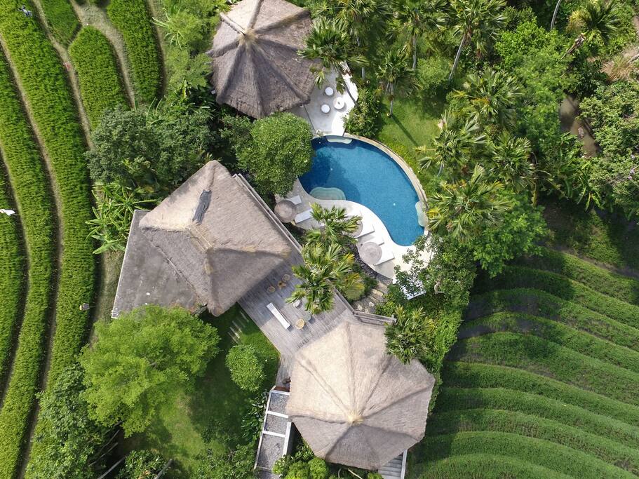 Bird Eye View