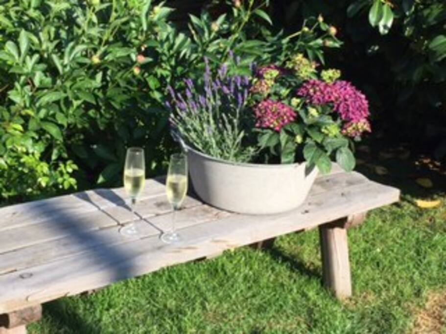 Sunny evenings or mornings in the front yard