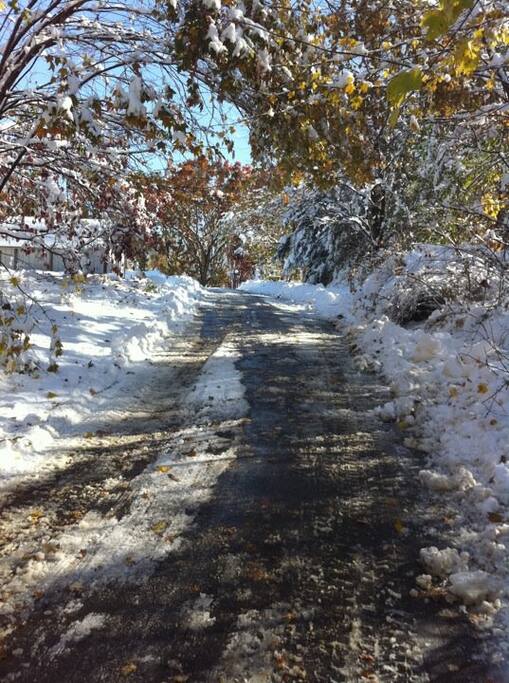 Driveway After a winter storm