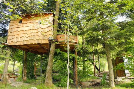 Cabane dans les arbres Hautes-Vosges