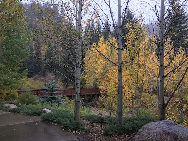 Vail 2BR/2BA Condo along banks of Gore Creek