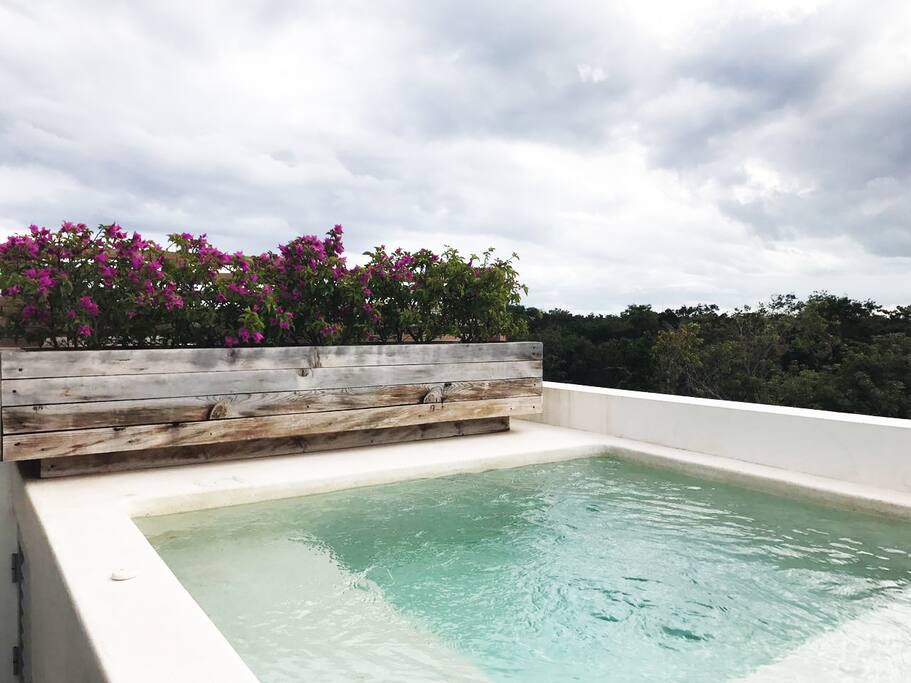 Private Jacuzzi with views of the Jungle