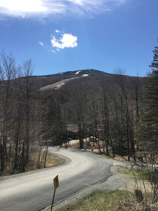 View from house
