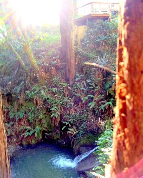 Our nature loving guests would surely love to walk down there to see this mesmerizing water fall and pond! You can see where the hot tub is....Wow! Photo 2-28-17 The best time to see the water fall is after the rainy season until late Aug.