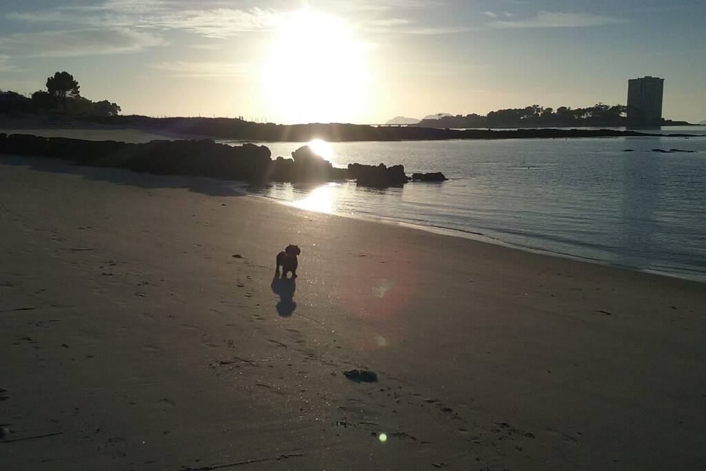 Nuestra playa