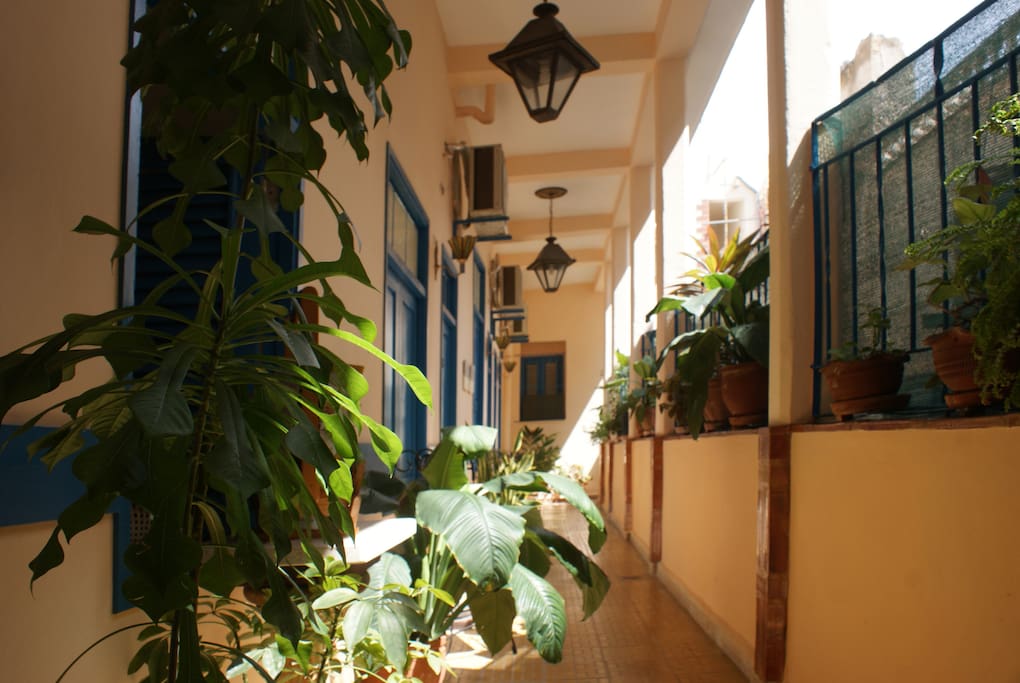 Pasillo/ Aisle