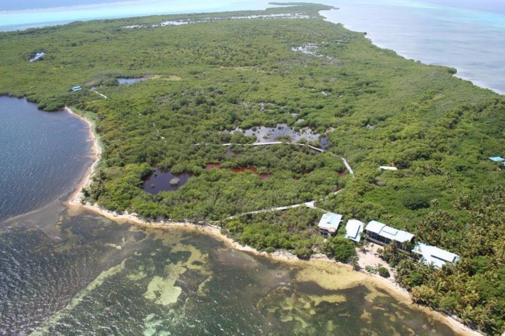 Aerial view of the private island