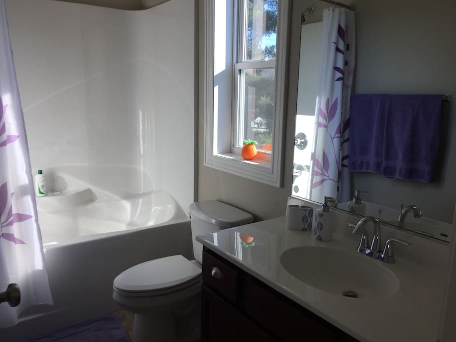 Guest bathroom (private)