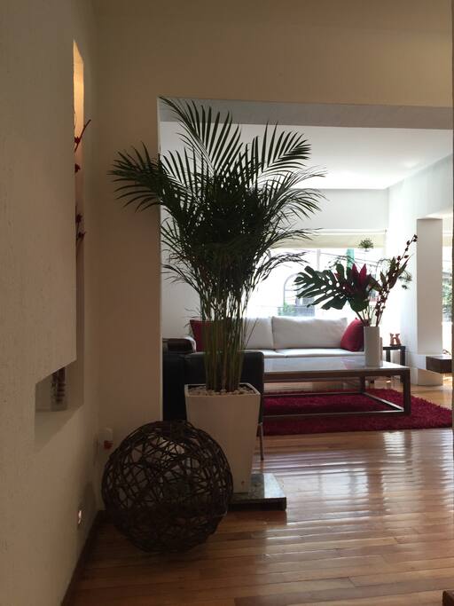 La decoración del departamento es minimalista.