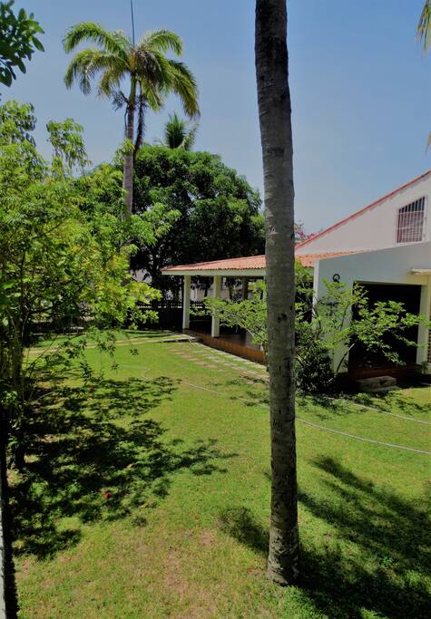 Casa Externo Jardim
