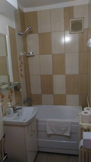 Green Studio Bathroom