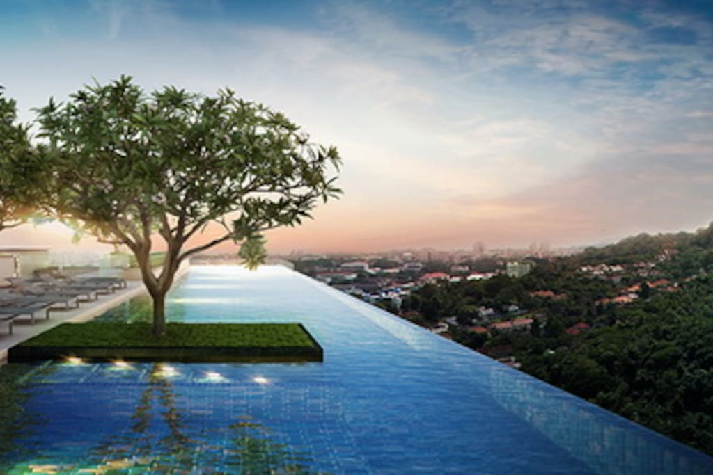 Rooftop view and swimming pool.
