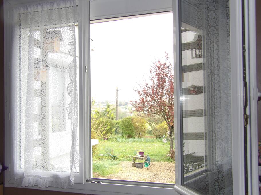 Vue sur le jardin depuis le studio