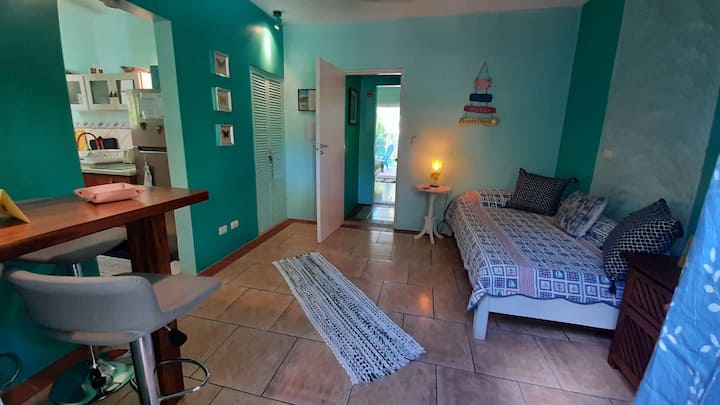 Dhoma teke me qasje në kuzhinë dhe një banak i vogël ku mund të marrësh ushqimet e tua.