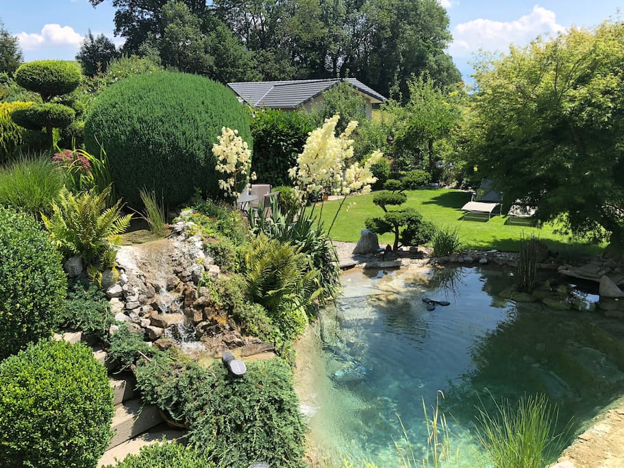 Unser Garten
