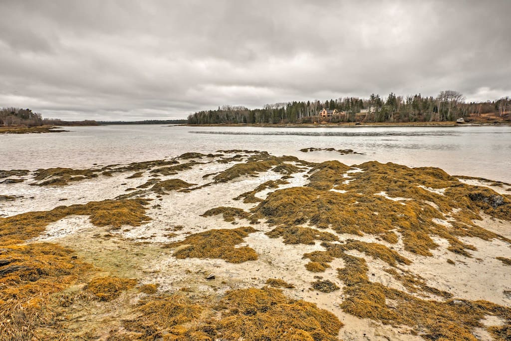 Enjoy scenic views of Maine's rocky coast and launch kayak excursions of the Jordan River from the convenience of home!