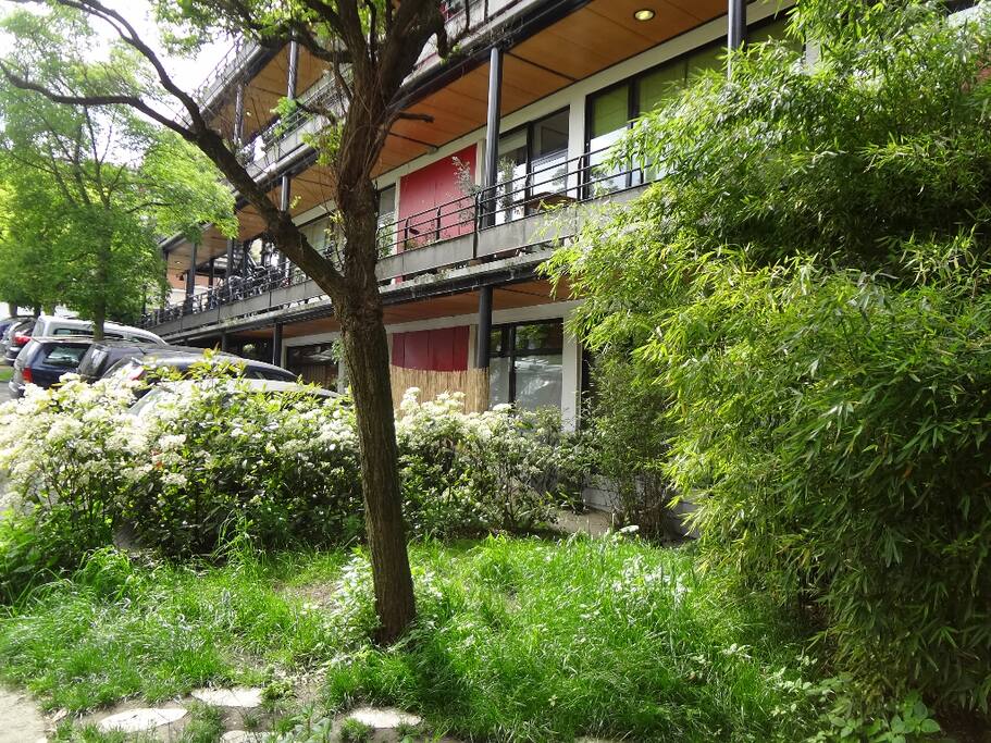 Vue de la pièce à vivre, un peu de verdure!