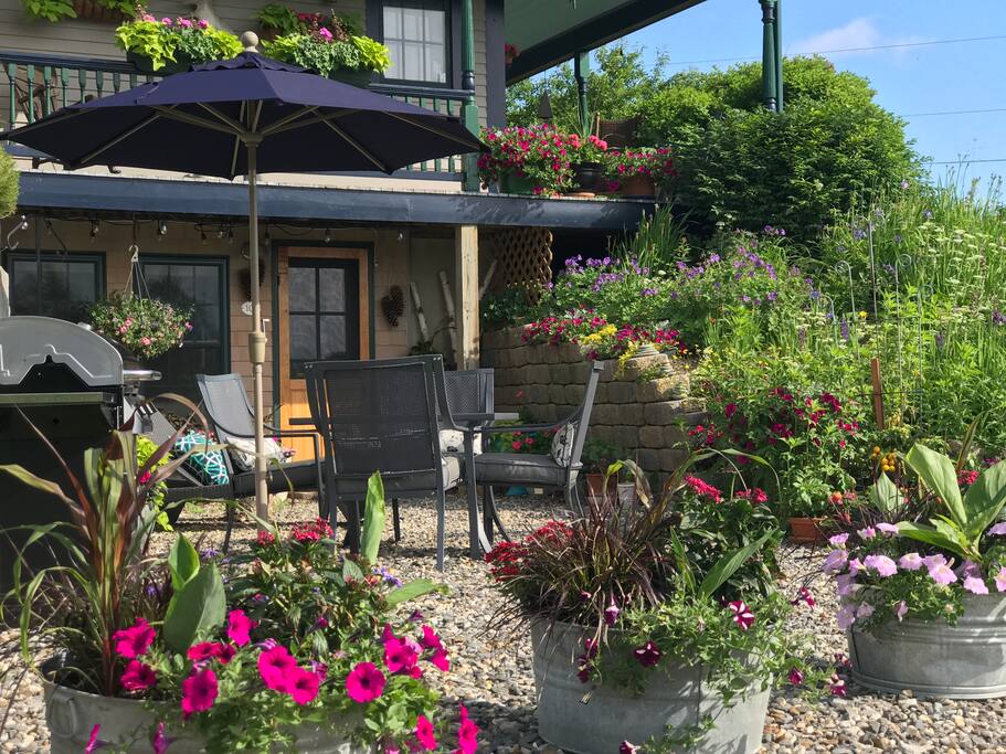 Summer bloom on your patio June 27, 2017