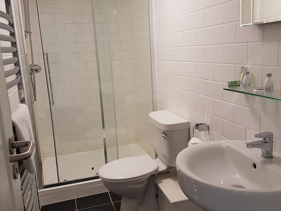 Family Room Bathroom