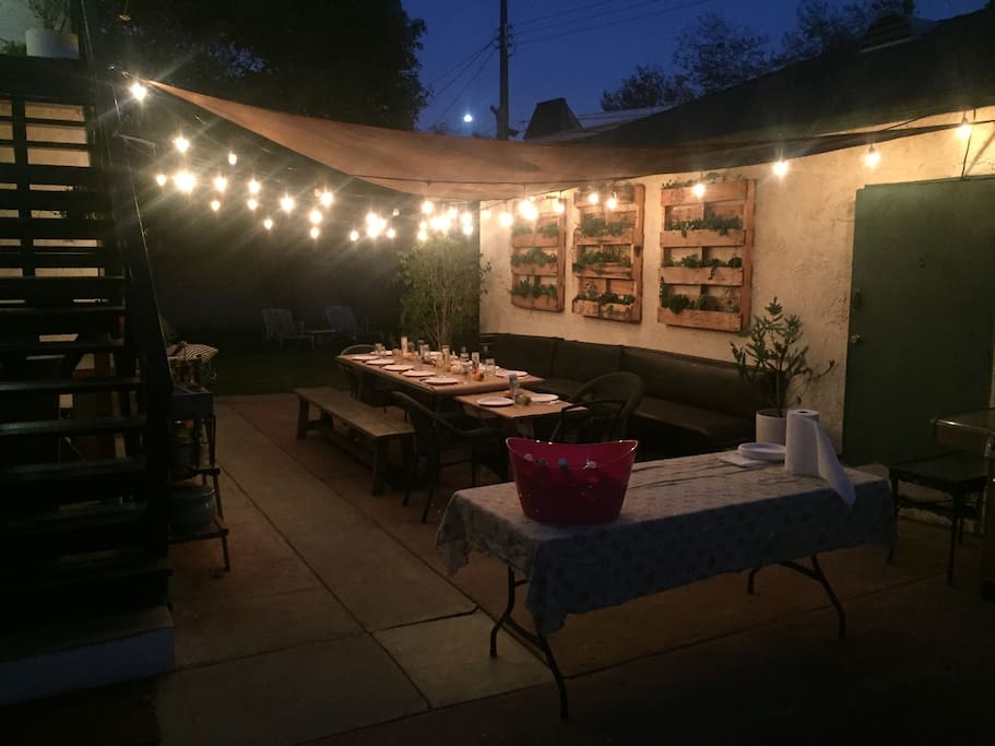 Backyard night