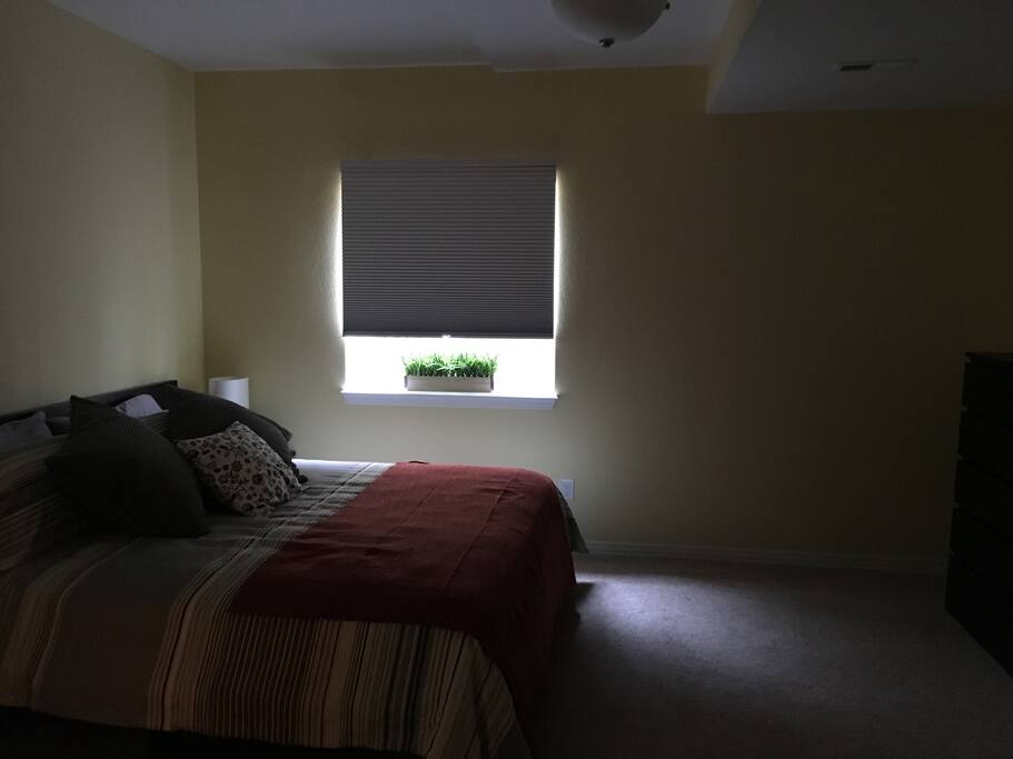 Blackout shade to help you sleep