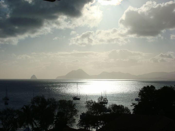 Palmstudio - Anse Caritan - Martinique