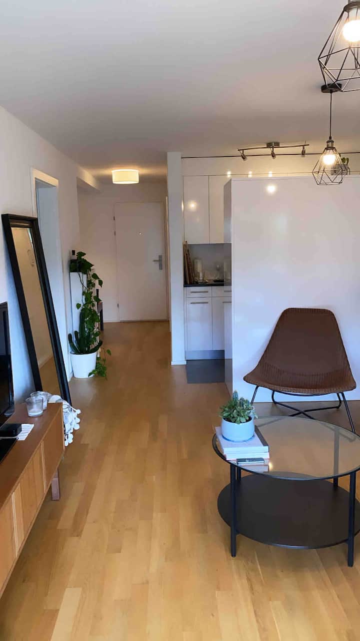 Bright Apartment Near Airport & City - Zúrich, Suiza