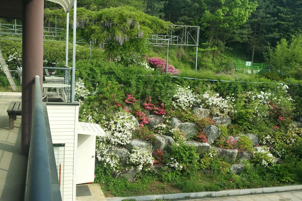 베란다에서 바라본 정원