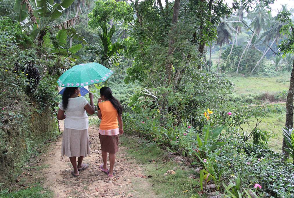 Mangos, bananas, jackfruit and coconuts grow in everywhere in the village.