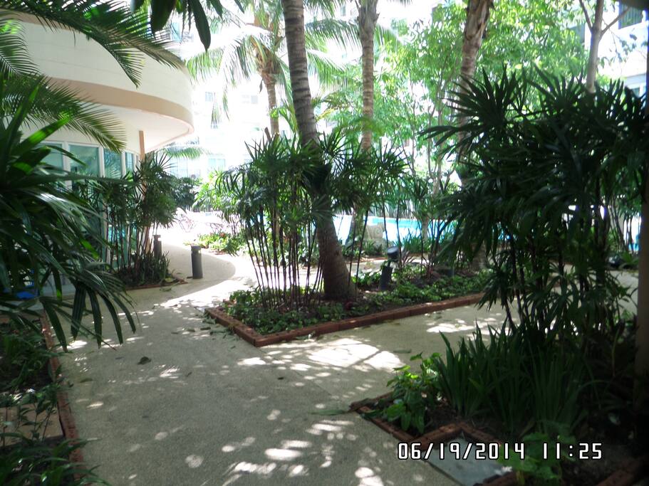 garden