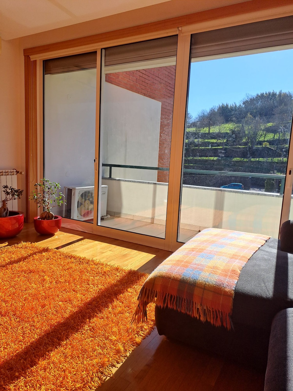 A bright indoor space is illuminated by natural light streaming through large glass doors. The area features a cozy couch with a colorful throw, alongside potted plants. A warm-toned rug adds texture to the floor, creating a welcoming and comfortable environment.